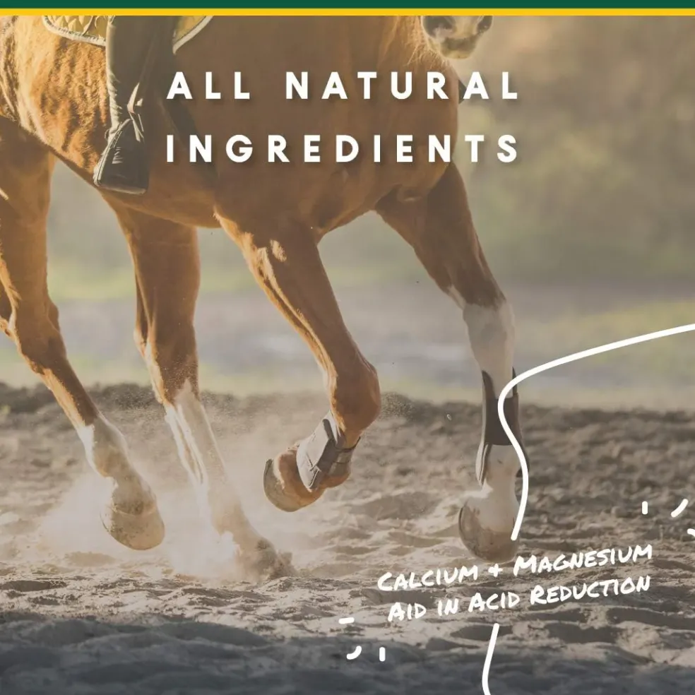U-Gard Gastric Support Pellets for Horses