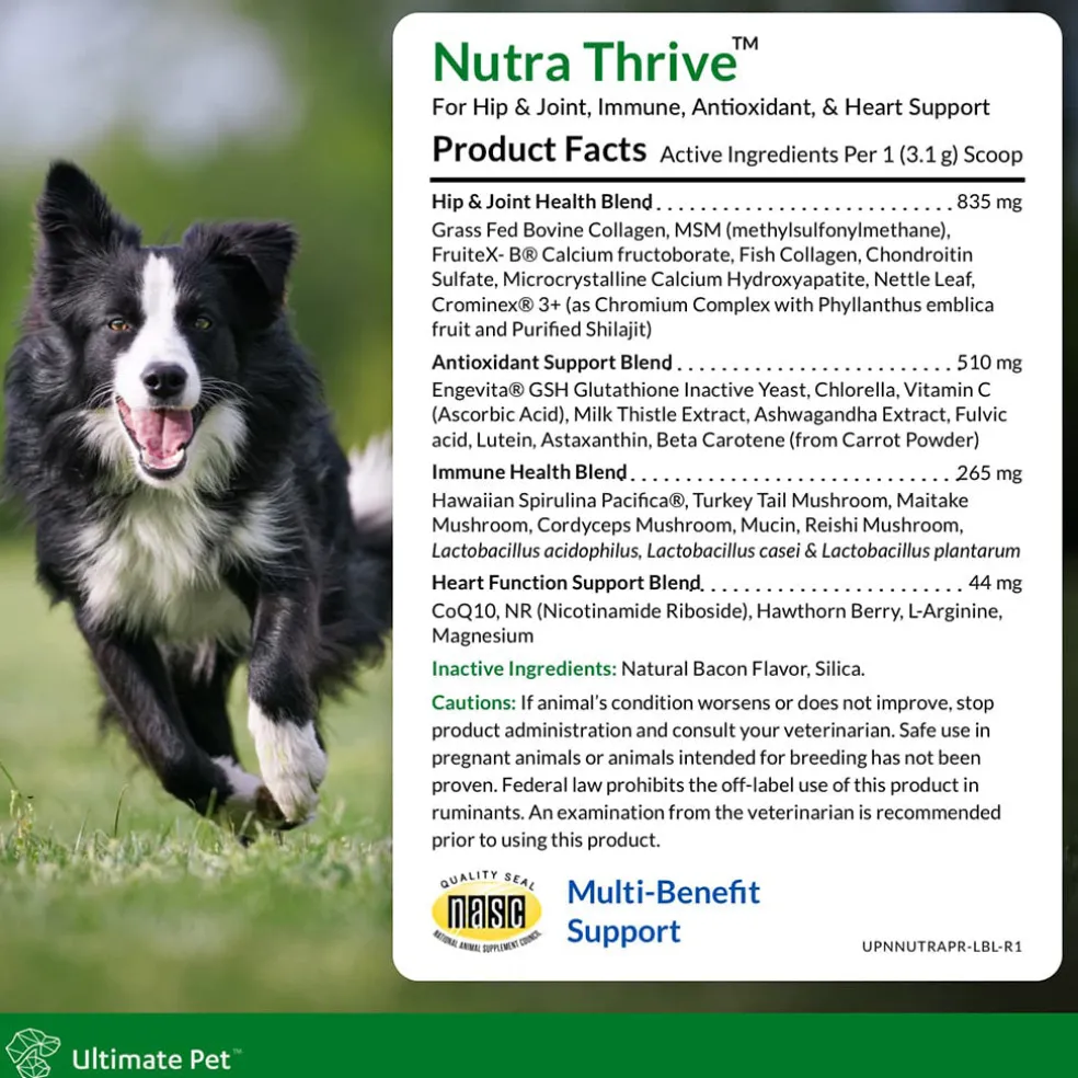 Ultimate Pet Nutrition Nutra Thrive Nutritional Supplements for Dogs, 3.3-oz