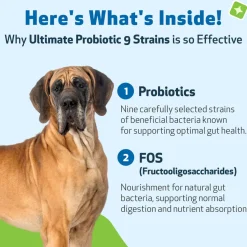 Ultimate Probiotic 9 Strains with Prebiotics for Dogs (11.29 oz)