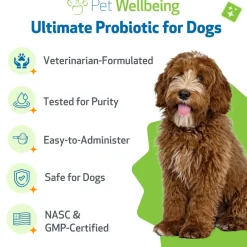 Ultimate Probiotic 9 Strains with Prebiotics for Dogs (11.29 oz)
