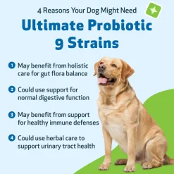Ultimate Probiotic 9 Strains with Prebiotics for Dogs (11.29 oz)