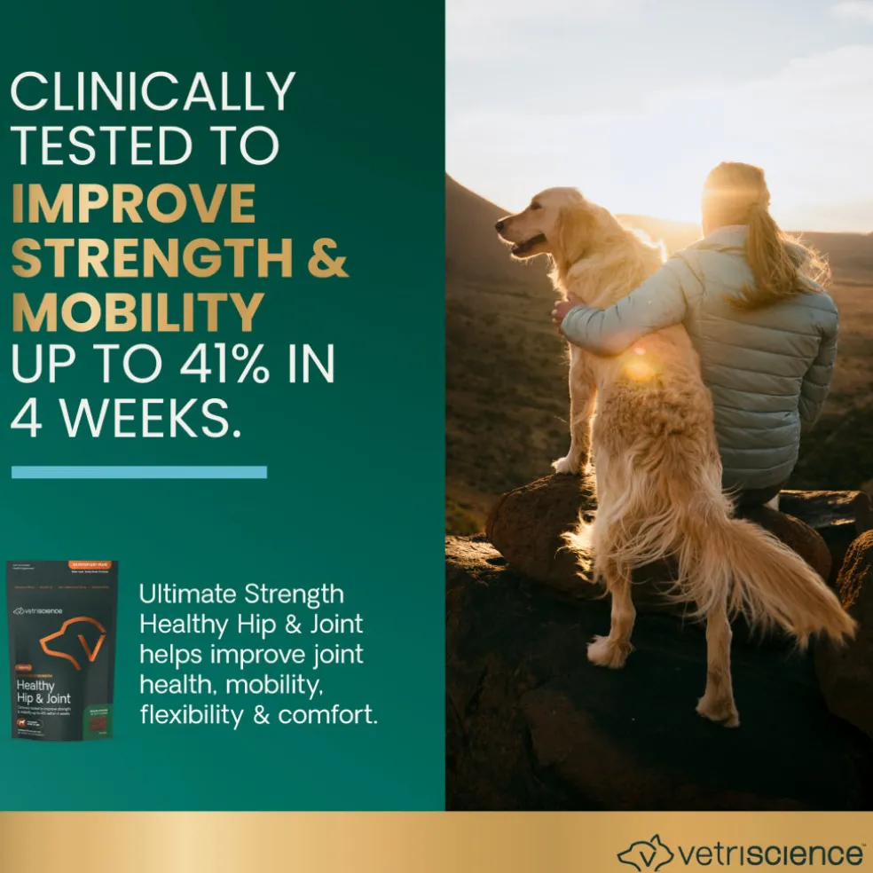 Ultimate Strength Healthy Hip & Joint Chews for Dogs Bacon Flavor