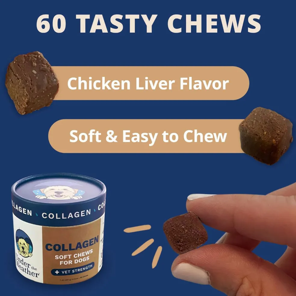 Under the Weather Collagen Soft Chews for Dogs, 60 chews