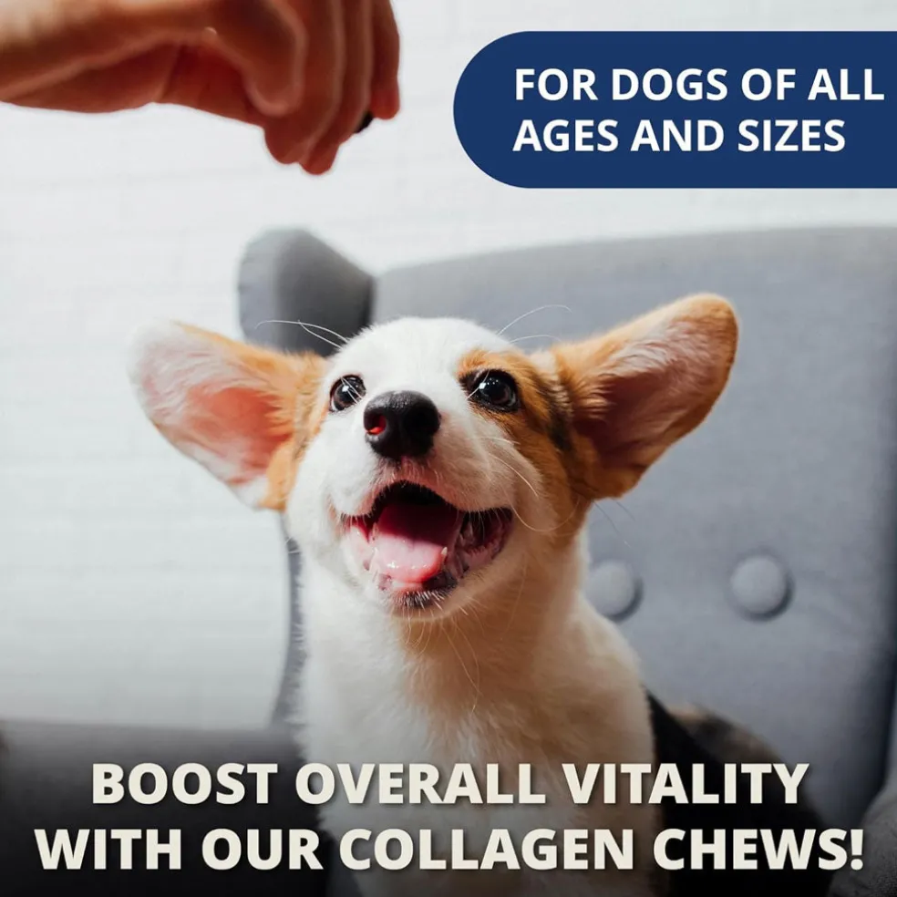 Under the Weather Collagen Soft Chews for Dogs, 60 chews