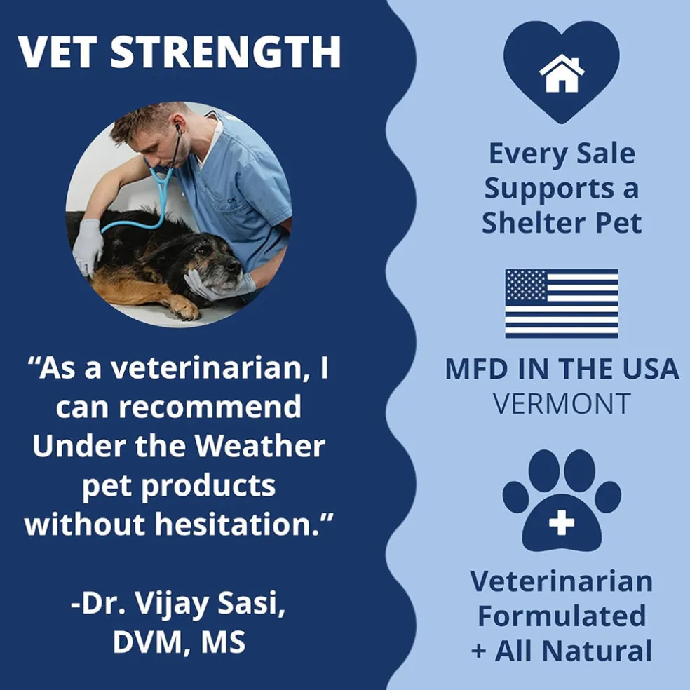 Under The Weather Disc & Spine Vet Strength Support for Dogs (60 soft chews)