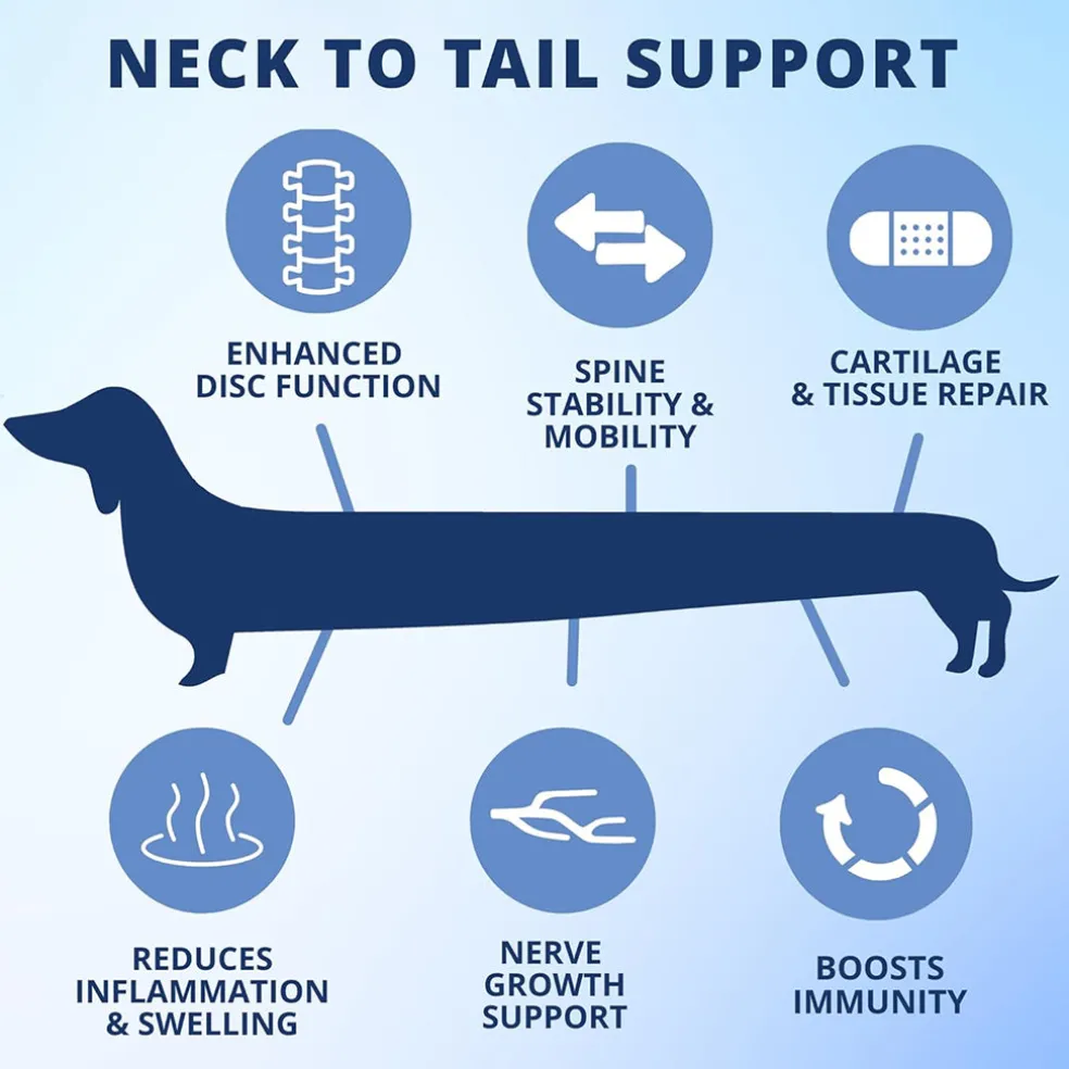 Under The Weather Disc & Spine Vet Strength Support for Dogs (60 soft chews)