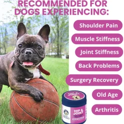 Under the Weather Hip & Joint Soft Chews for Dogs, 60-count