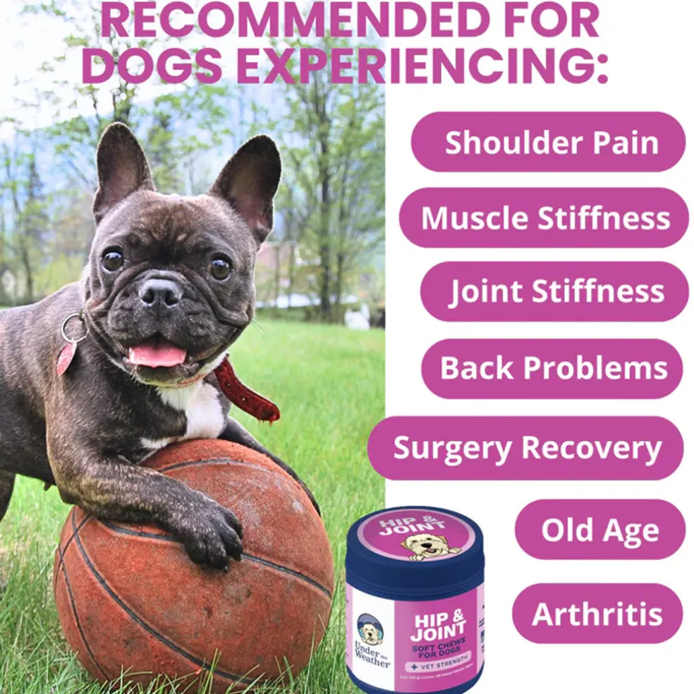 Under the Weather Hip & Joint Soft Chews for Dogs, 60-count