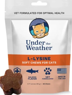 Under the Weather L-Lysine Soft Chews for Cats, 60 count