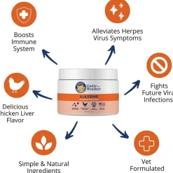 Under the Weather L-Lysine Support Powder for Cats, 2.54-oz