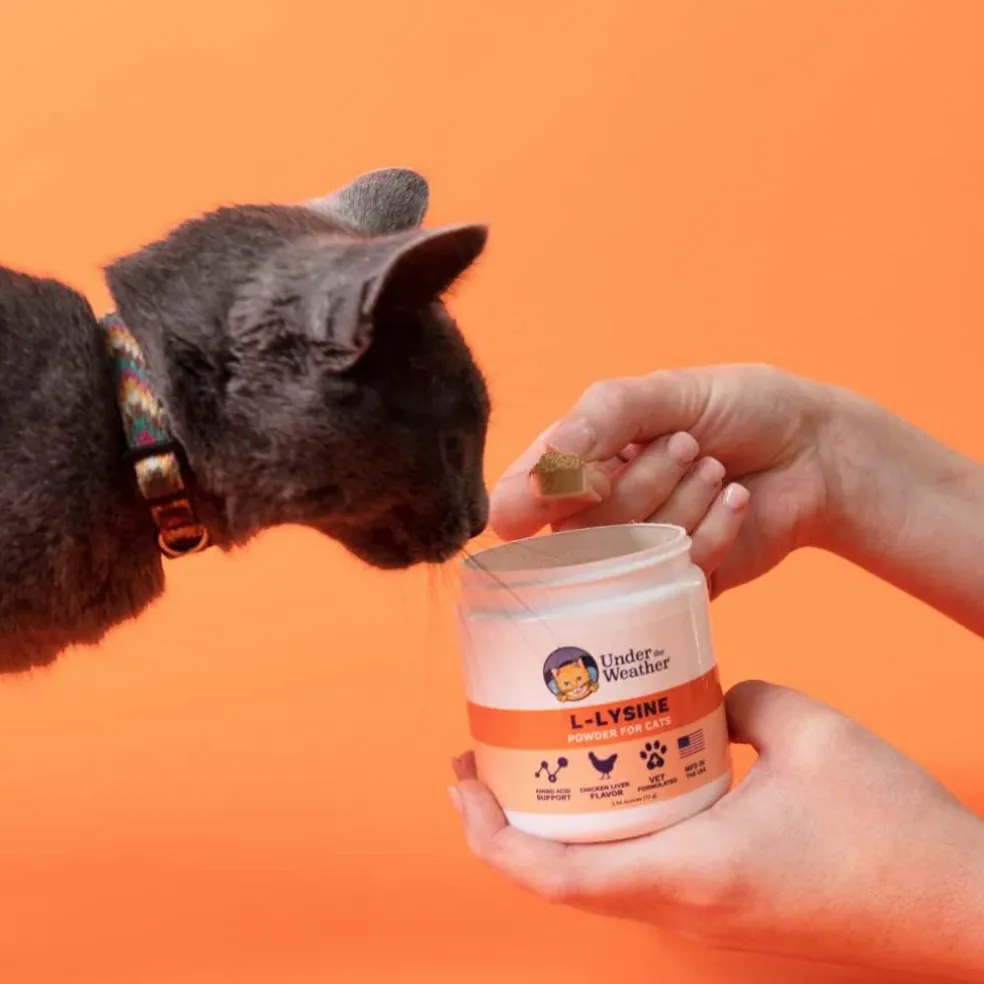 Under the Weather L-Lysine Support Powder for Cats, 2.54-oz