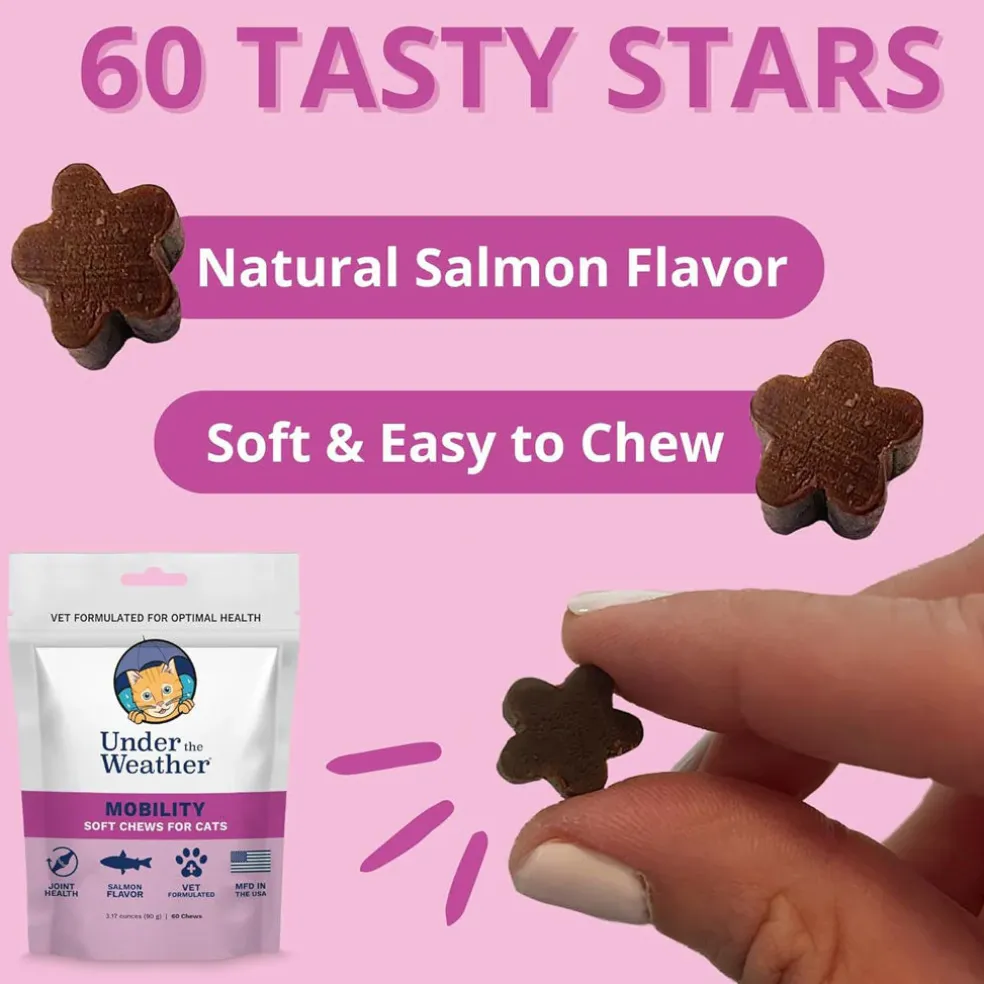 Under the Weather Mobility Soft Chews for Cats, 60 count