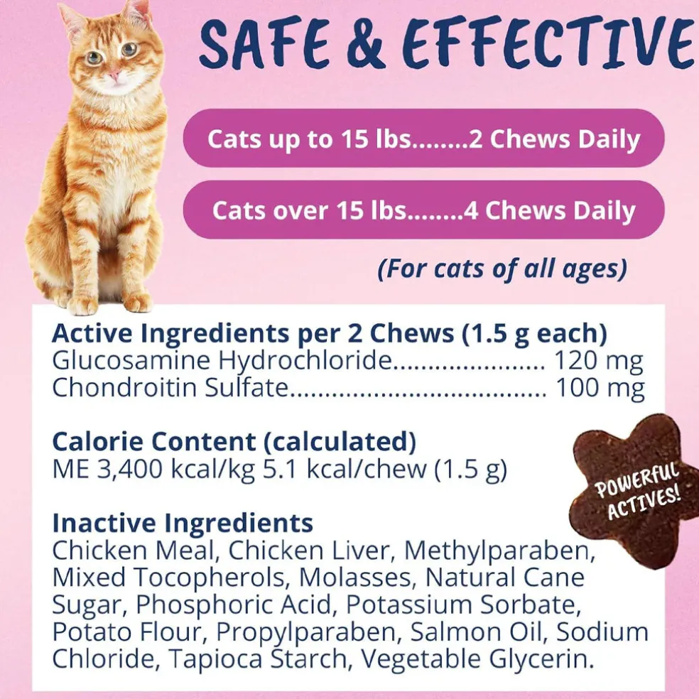 Under the Weather Mobility Soft Chews for Cats, 60 count