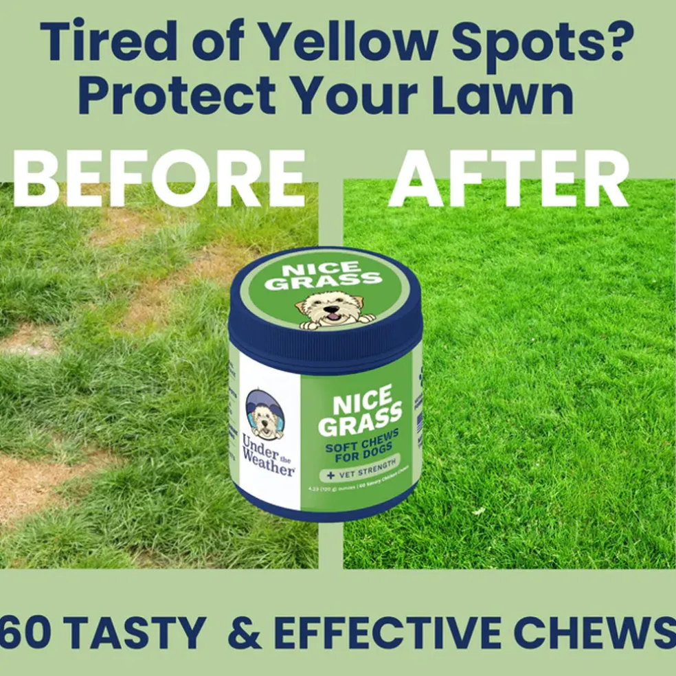 Under the Weather Nice Grass Soft Chews for Dogs, 60-count