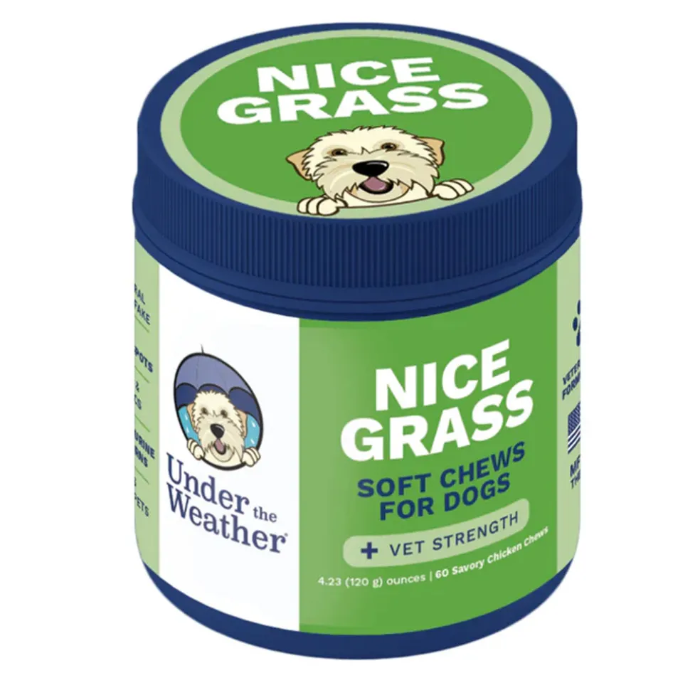 Under the Weather Nice Grass Soft Chews for Dogs, 60-count