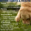 Under the Weather Poop Eating Deterrent Coprophagia Chews for Dogs, 60-count