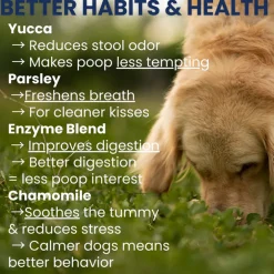 Under the Weather Poop Eating Deterrent Coprophagia Chews for Dogs, 60-count