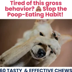 Under the Weather Poop Eating Deterrent Coprophagia Chews for Dogs, 60-count