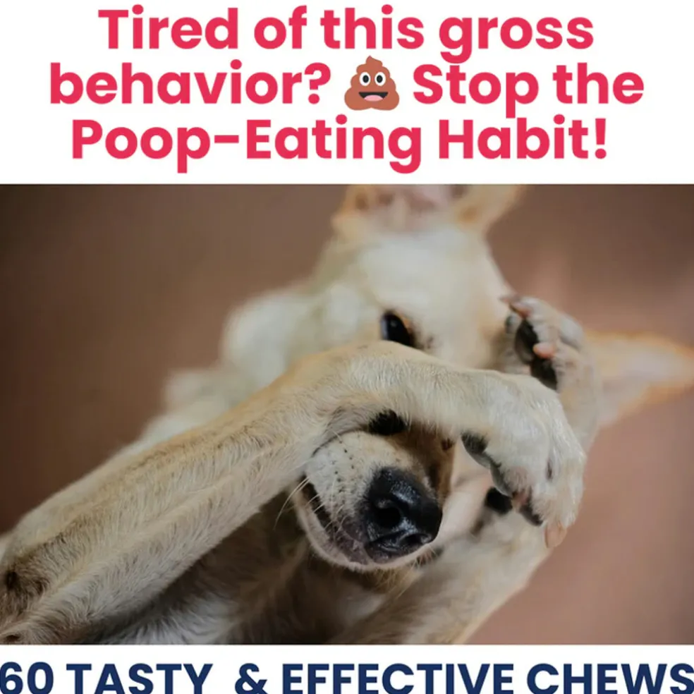 Under the Weather Poop Eating Deterrent Coprophagia Chews for Dogs, 60-count