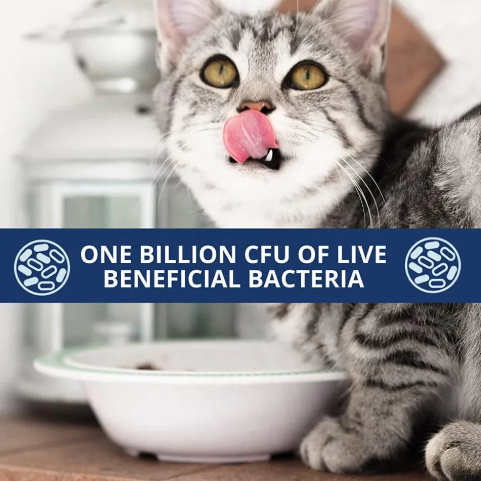 Under the Weather Probiotic Powder For Cats, 2.54-oz