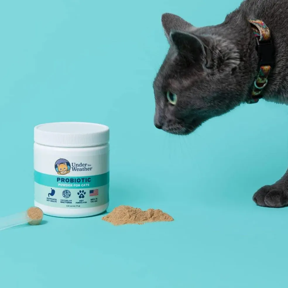 Under the Weather Probiotic Powder For Cats, 2.54-oz
