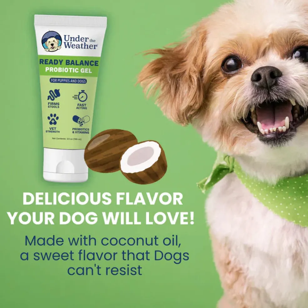 Under the Weather Ready Balance Probiotic Supplement for Dogs, 30 cc