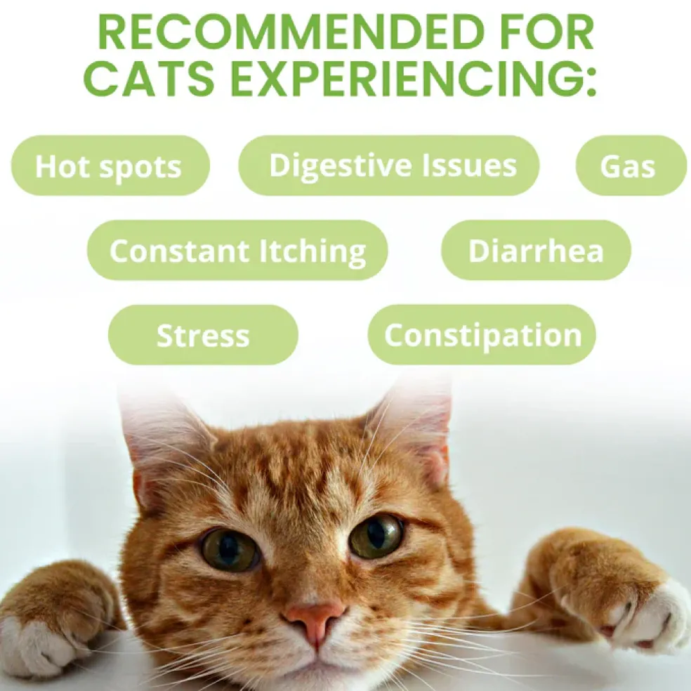 Under the Weather Ready Balance Oral Probiotic Gel for Cats, 30 cc