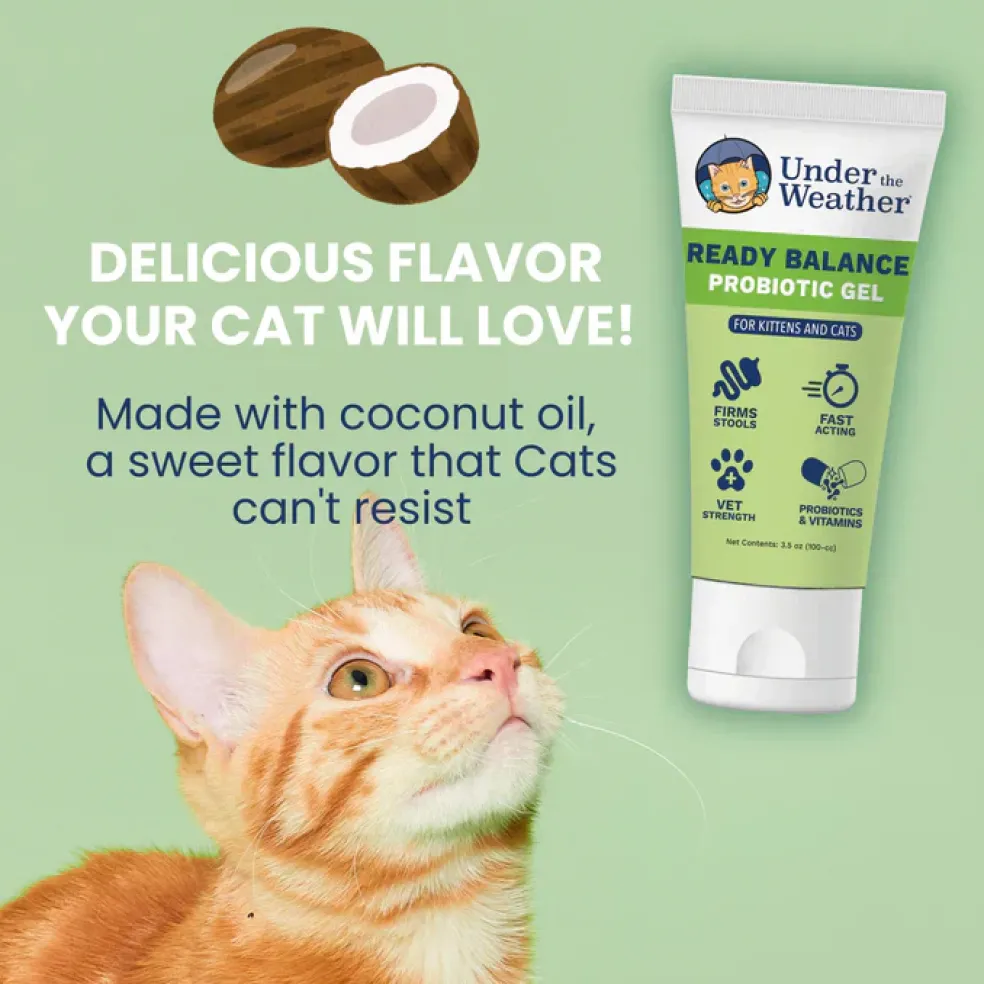 Under the Weather Ready Balance Oral Probiotic Gel for Cats, 30 cc