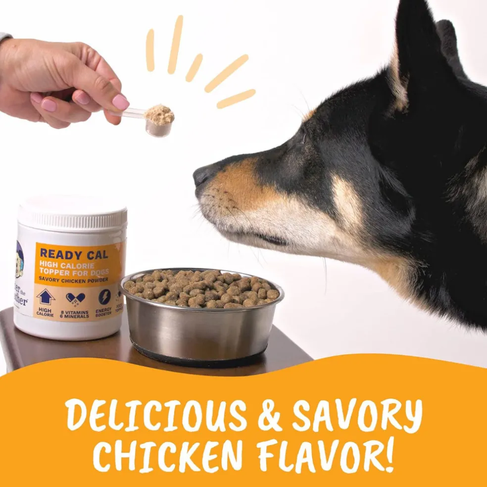 Under the Weather Ready Cal High Calorie Topper For Dogs, Chicken Flavor, 10.58-oz