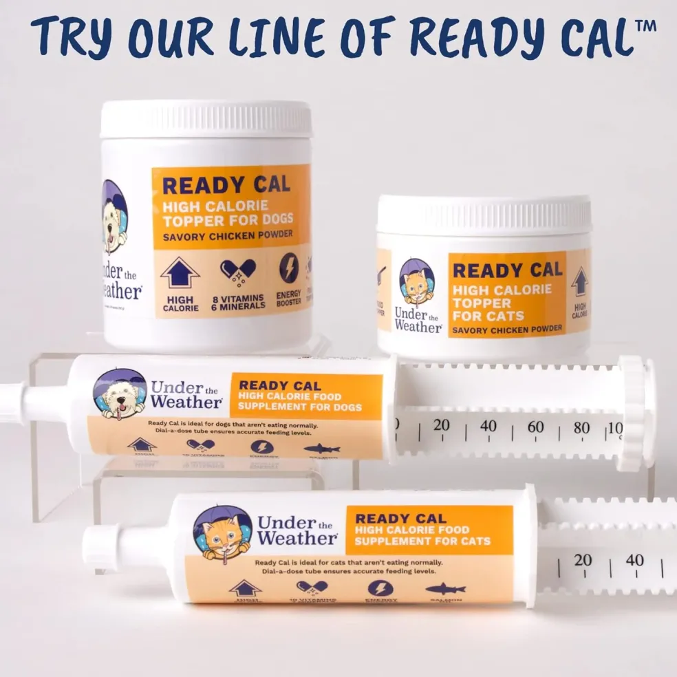 Under the Weather Ready Cal High Calorie Topper Savory Chicken Powder for Cats, 5.29-oz