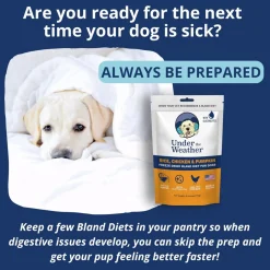 Under the Weather Rice, Chicken & Pumpkin Freeze Dried Bland Diet for Dogs, 6-oz