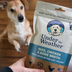 Under the Weather Rice, Chicken & Bone Broth Freeze Dried Bland Diet for Dogs, 6-oz