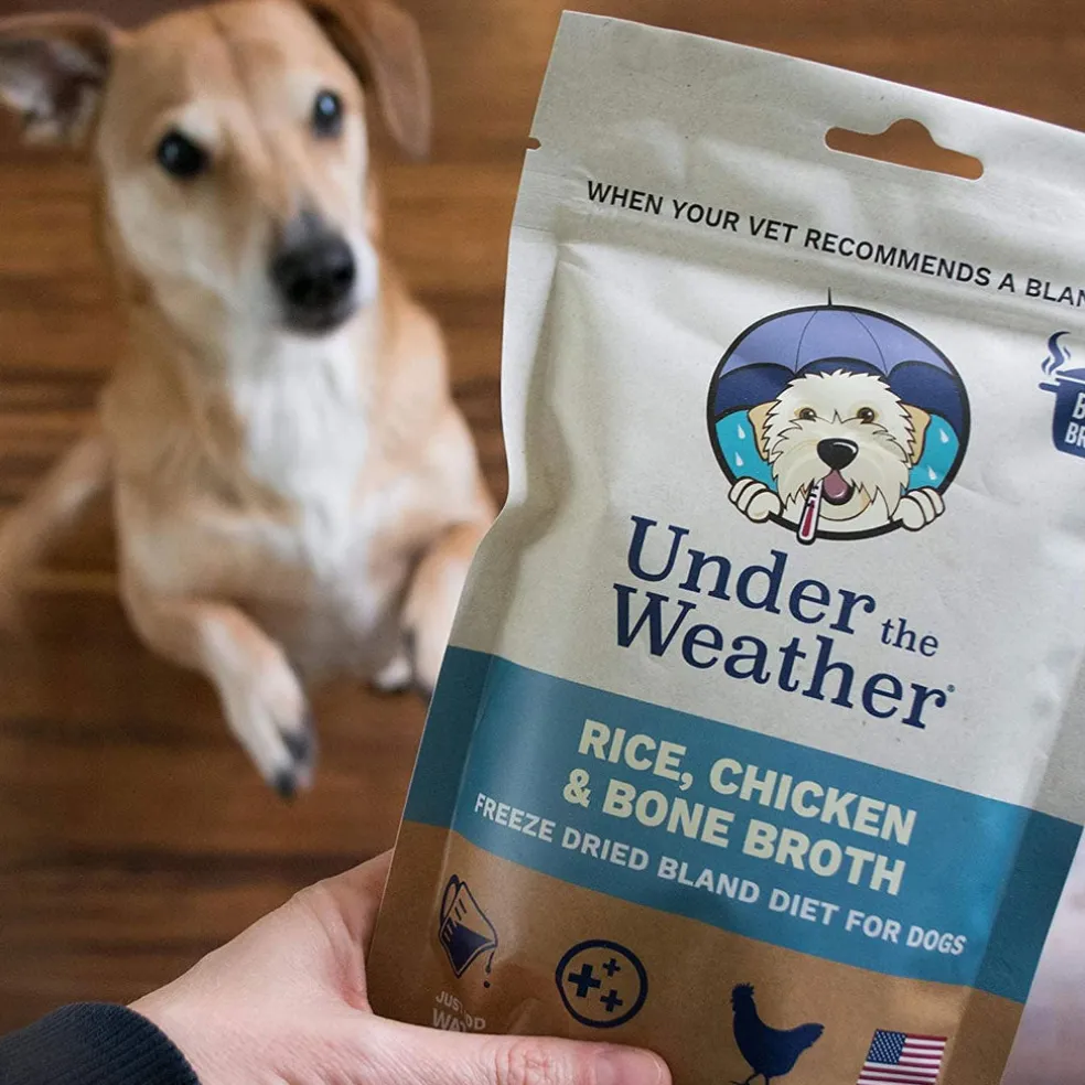 Under the Weather Rice, Chicken & Bone Broth Freeze Dried Bland Diet for Dogs, 6-oz