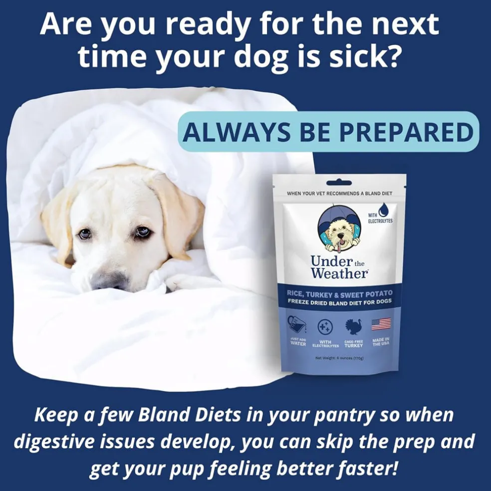 Under the Weather Rice, Turkey & Sweet Potato Freeze Dried Bland Diet for Dogs, 6-oz