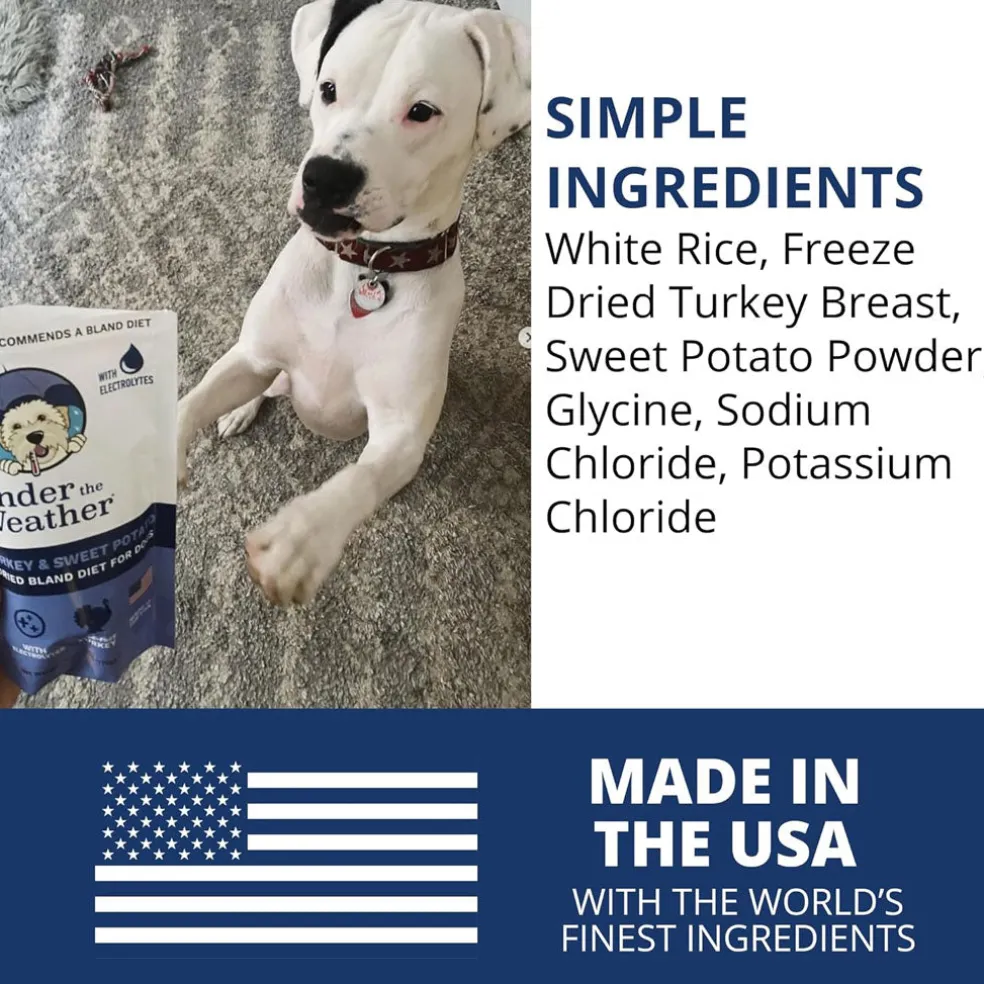 Under the Weather Rice, Turkey & Sweet Potato Freeze Dried Bland Diet for Dogs, 6-oz