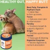 Under the Weather Scoot Stop Anal Gland Support Chews for Dogs, 60-count