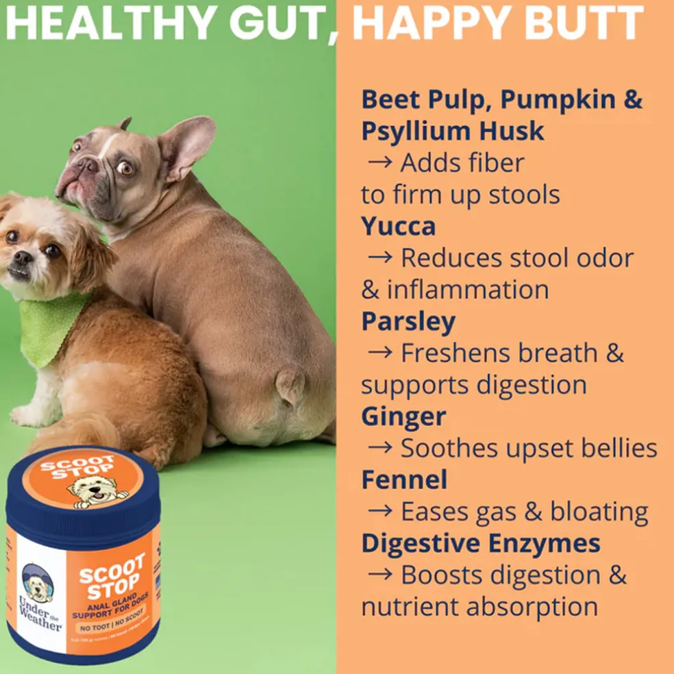 Under the Weather Scoot Stop Anal Gland Support Chews for Dogs, 60-count