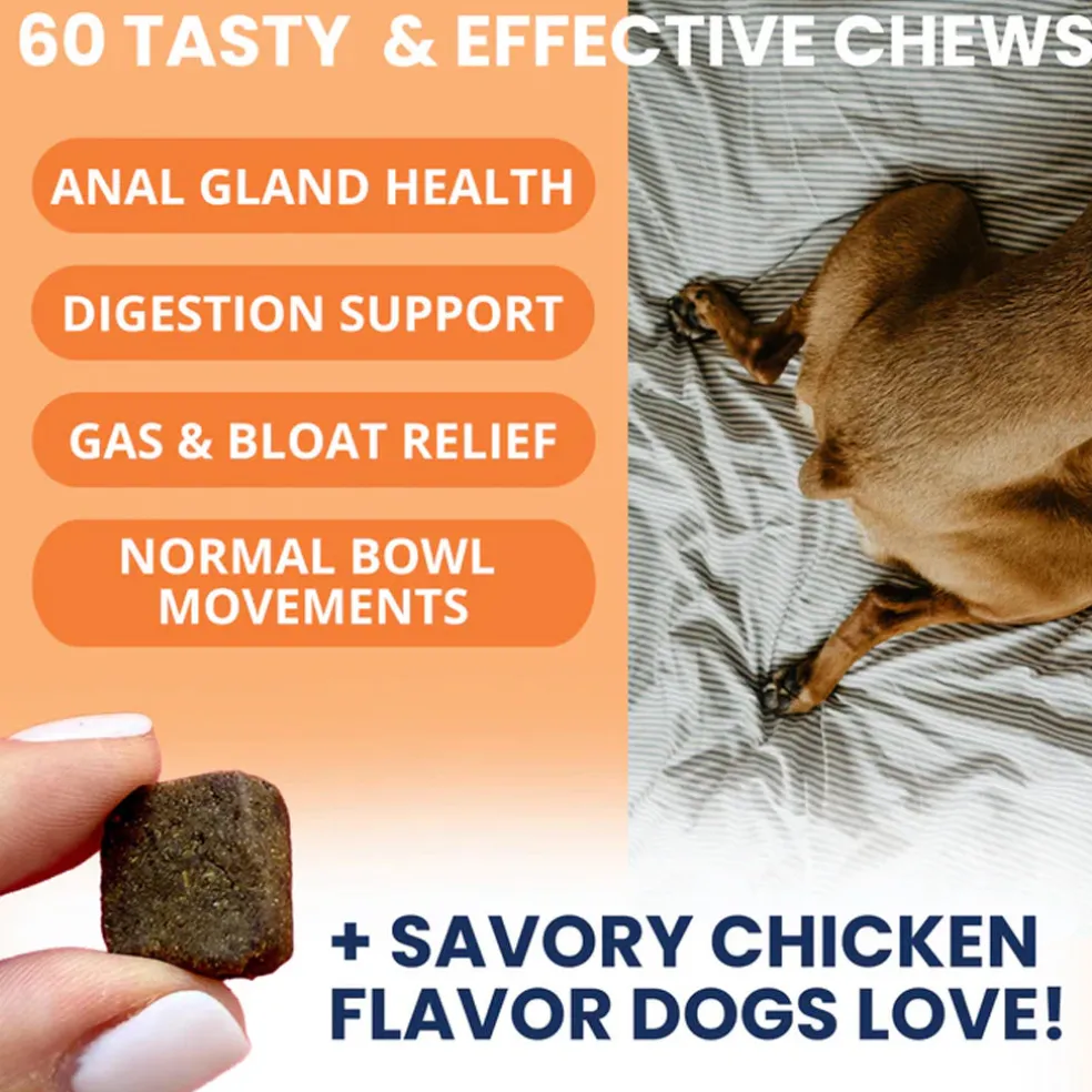 Under the Weather Scoot Stop Anal Gland Support Chews for Dogs, 60-count