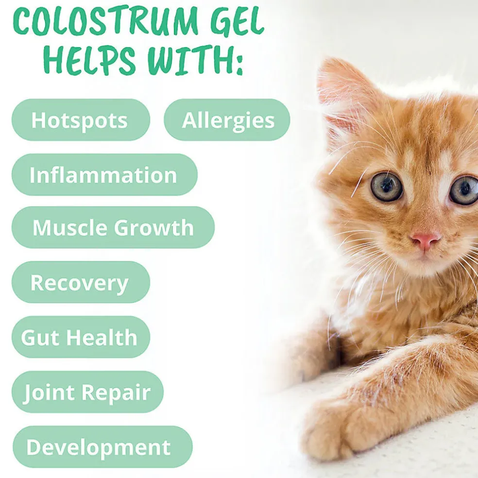 Under the Weather Vital Colostrum for Kittens and Cats, 3.5-oz