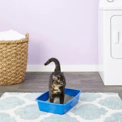 Van Ness Cat Litter Pan, Blue, Assorted Color