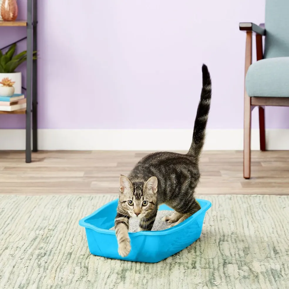 Van Ness Cat Litter Pan, Blue, Assorted Color