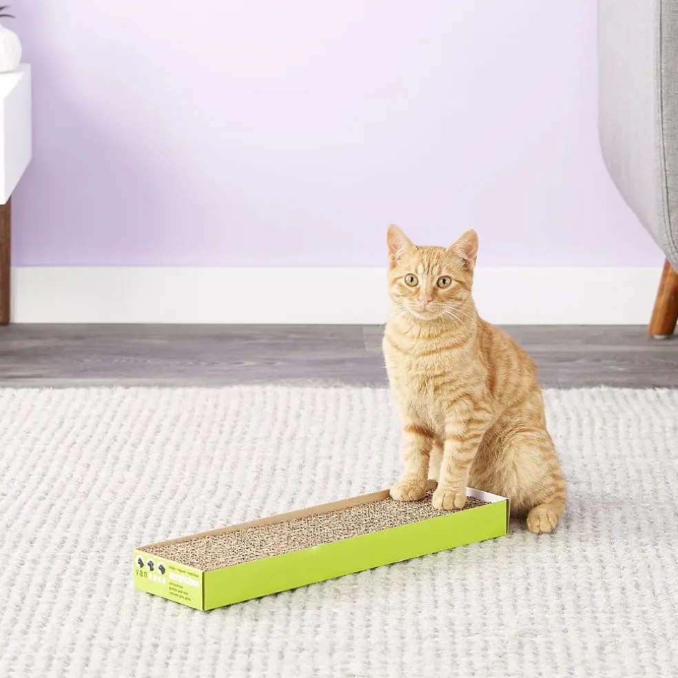 Van Ness Cat Scratcher Pad Toy with Catnip, Single