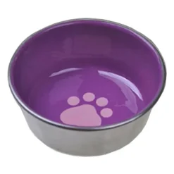 Van Ness Decorated Stainless Cat Dish, Color Varies, 8-oz