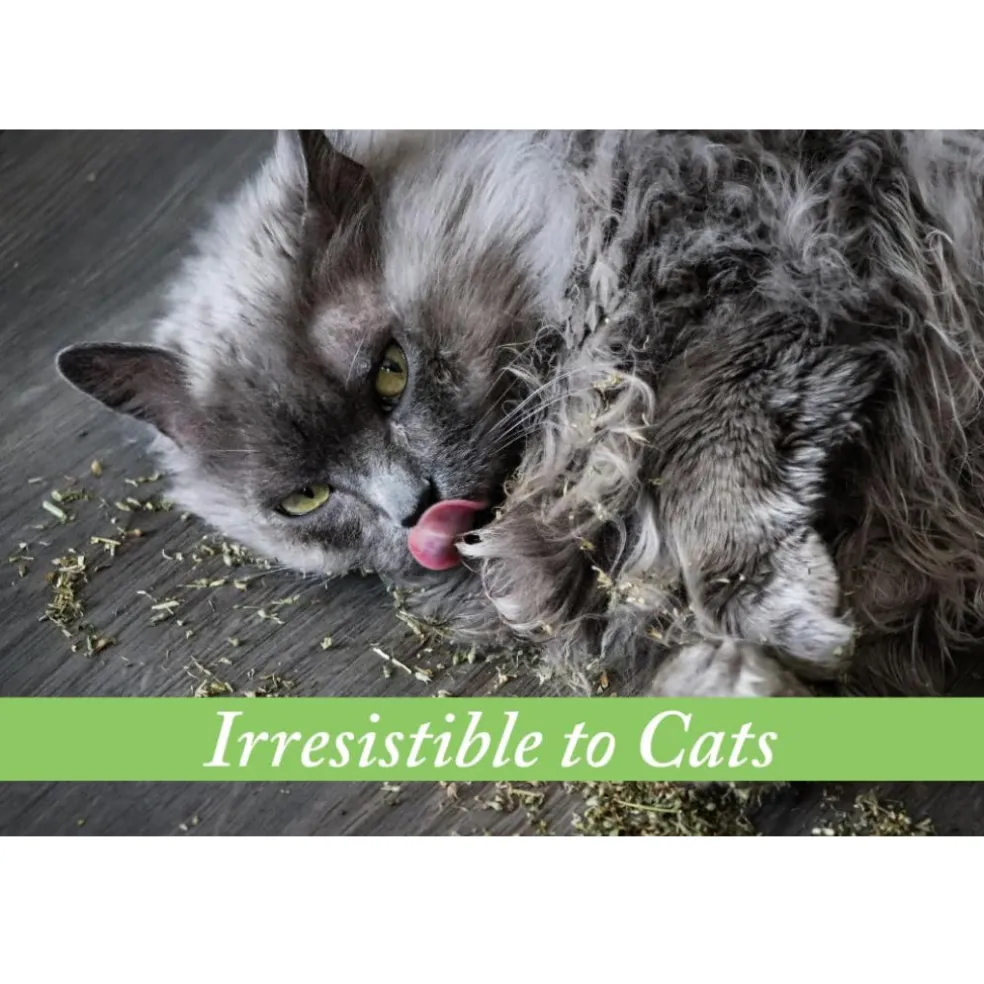 Van Ness Fresh-Nip Organic Catnip For Cats (1 oz)