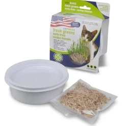 Van Ness Plastics Pureness Oat Garden Kit, 4-oz