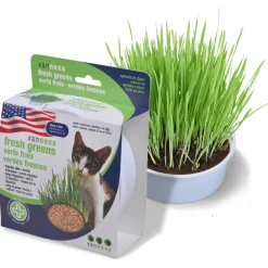 Van Ness Plastics Pureness Oat Garden Kit, 4-oz