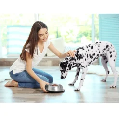 Van Ness Plastics Stainless Steel No-Tip Dish