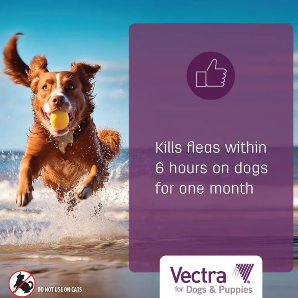 Vectra Flea and Tick Spot Treatment for X-Small Dogs & Puppies, 2.5-10 lbs