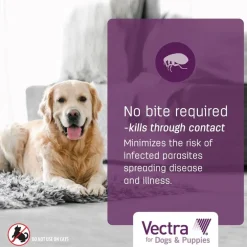 Vectra Flea and Tick Spot Treatment for X-Small Dogs & Puppies, 2.5-10 lbs