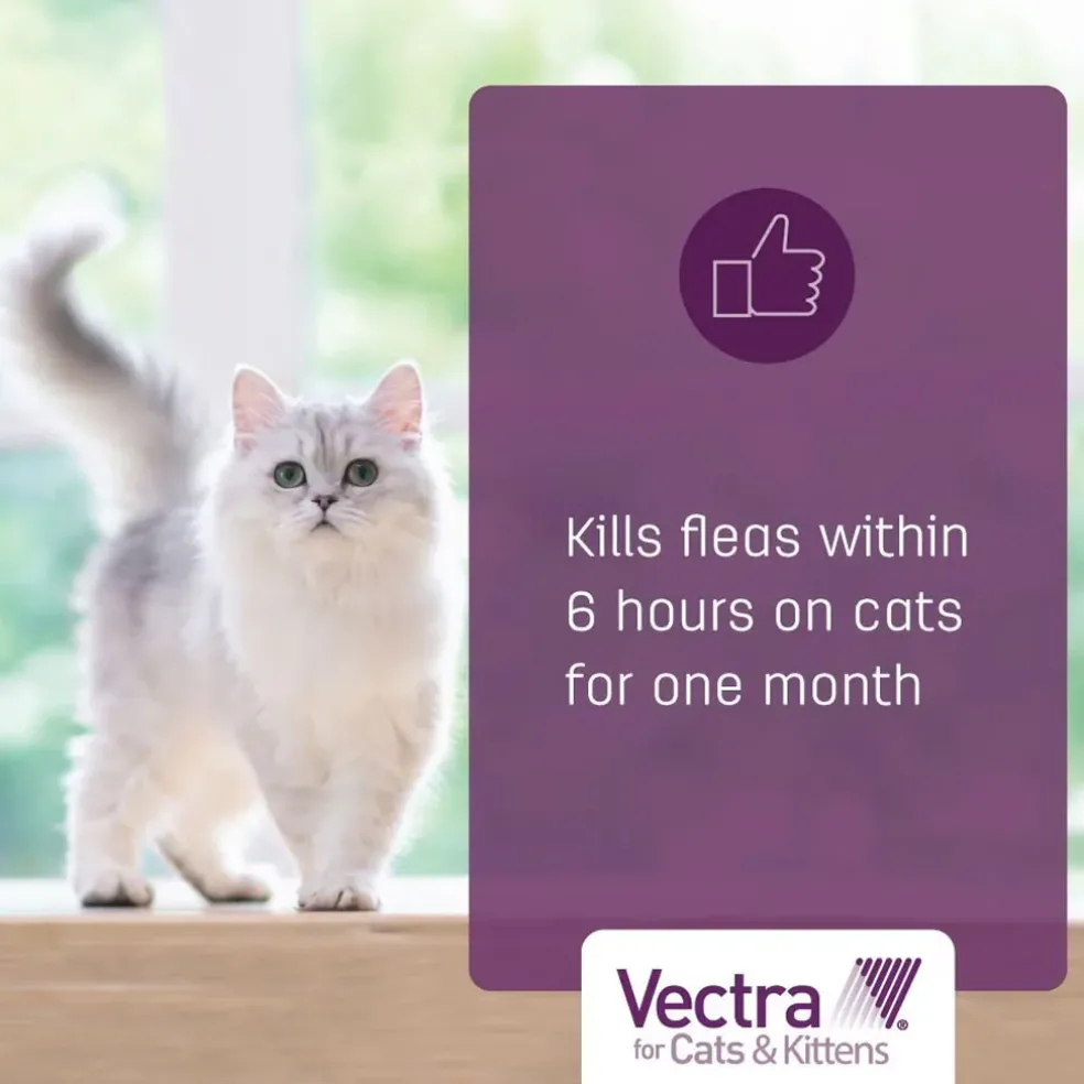Vectra for Cats, 9 lbs and Over